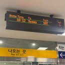 주성프라자 앞 | 가봤다 부산 이재모피자 부산역점 평일 저녁 웨이팅 후기 해운대백병원 근처 장산역 돼지국밥 현지인...