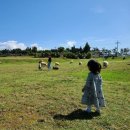 한회목장 이미지