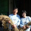 양지농장2 이미지