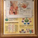 명가한방병원 | 신중동역발관리 명가힐링약손 아로마, 힐링 스포츠 관리할때 찾게 되는 공간