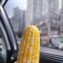 백운산장앞 | 포천 백운계곡 맛집 어울림산장 평상 백숙 셀프 바베큐장 아이랑 물놀이 후기