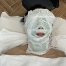 헤어바이손