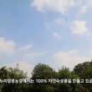 청주양봉원 이미지