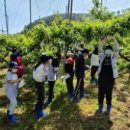 월등초등학교 이미지