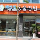 배선생펫스토리동물병원 이미지