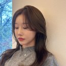 더마치헤어 이미지
