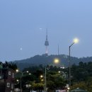 [서울/명동놀거리] 국내 최초 악세전문 도매매장 ‘뉴뉴’ 명동점 내돈내산 후기🔮