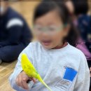 청아곤충놀이터