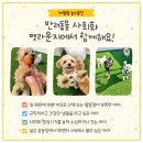 펫라운지 애견미용 애견호텔 이미지