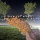 갓튀긴후라이드 본리점 이미지