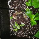 월명농장 이미지