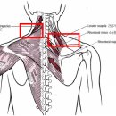 청담정형외과의원 이미지