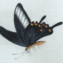 더듬이PC 이미지