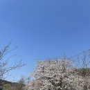 너릿재주유소