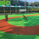 인라인장 이미지