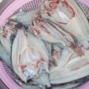 외파수도