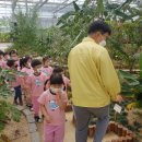 참외생태학습원 이미지