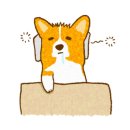 함베이글 이미지