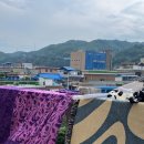 까치민박 이미지