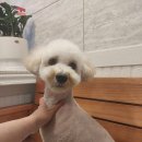 오구오구살롱 이미지