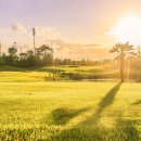 김제스파힐스컨트리클럽 이미지