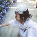 빙쥬르