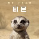 16 이미지