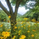 빈이하우스 이미지