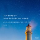 선의 빛 | 나는 선의의 순환을 원한다