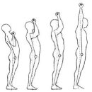 옵티멀 무브 이미지