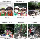 인헌동-41 Daum카페