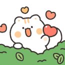 스튜디오아무르