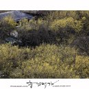 현천마을 이미지