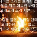 공치는날 이미지