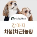 아이조은동물병원 이미지