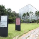 서울대학교미술관 이미지