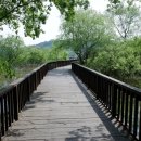 봉선지둘레길 이미지