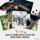 실감북스