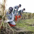 제31사단 503여단 이미지