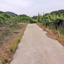 열녀 부안임씨 정려 이미지