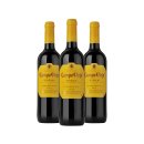 강펀치 | [와인의 품종] 템프라니요(Tempranillo) 완전 정복 — 스페인의 귀족 포도, 스페인의 까소