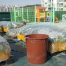 새샘어린이집 이미지