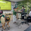 그리다플러렌 이미지