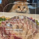 가락충전소 | 가락시장 도다리 맛집 추천, 봄 제철 해산물이 가득한 가락몰 광양수산 포장 후기