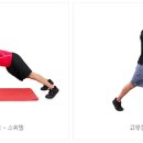 홈트레이닝 이미지