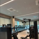 업핏 웰니스 클럽 이미지