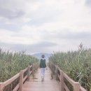 한국관광공사 추천 9월 걷기여행길, 초가을의 선선함을 만끽하러 가는 길 이미지