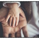 The Father 이미지