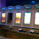 동해-단속-40 이미지