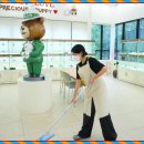 강아지분양 테디럽 이미지